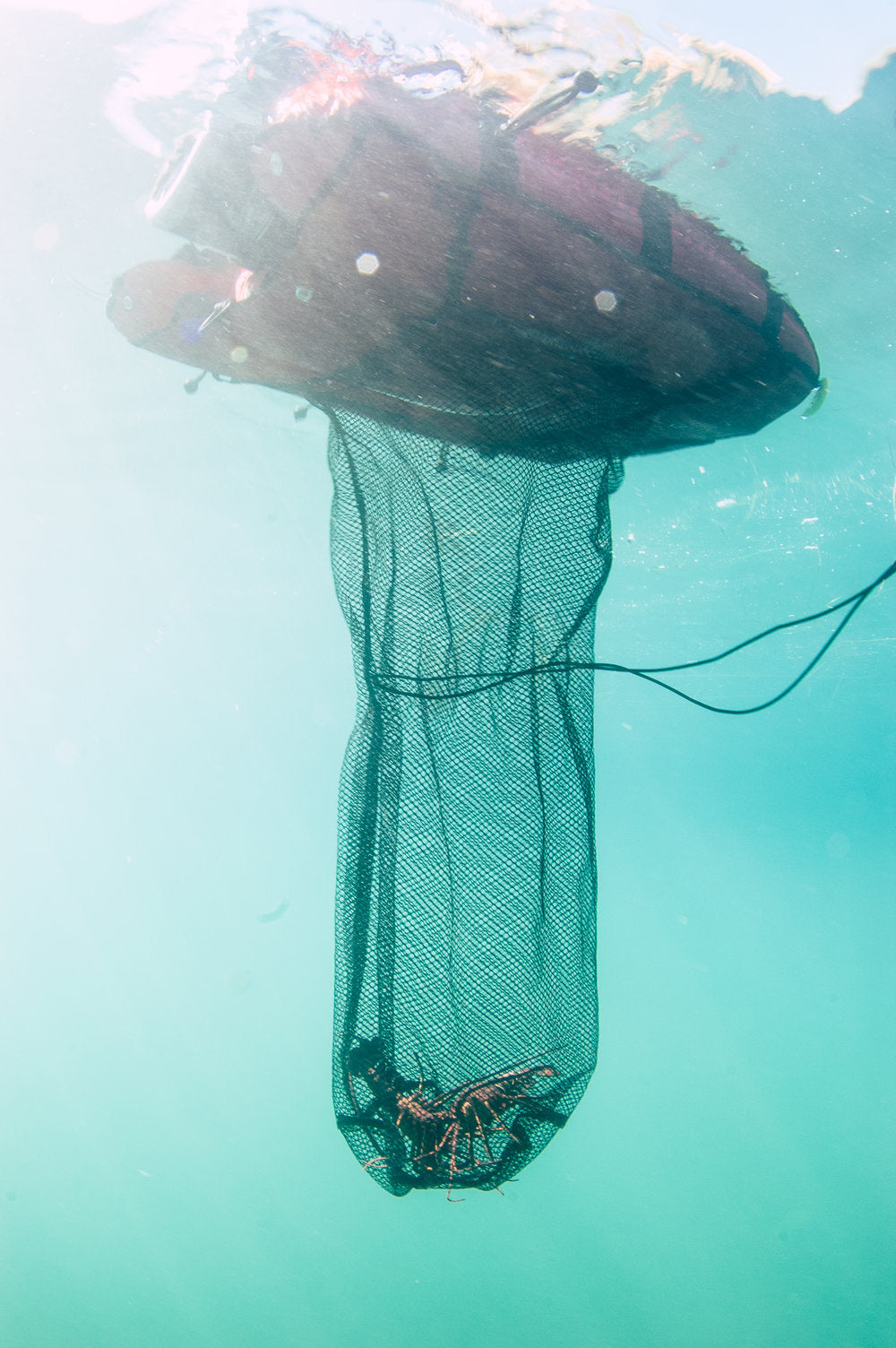 XS Scuba UFO Spearfishing Kit – Multi-Purpose Spearfishing Float & Gear Platform